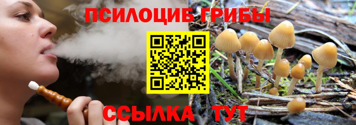 где купить наркотик  Псилоцибиновые грибы мухоморы  Вход с VPN  Партизанск 